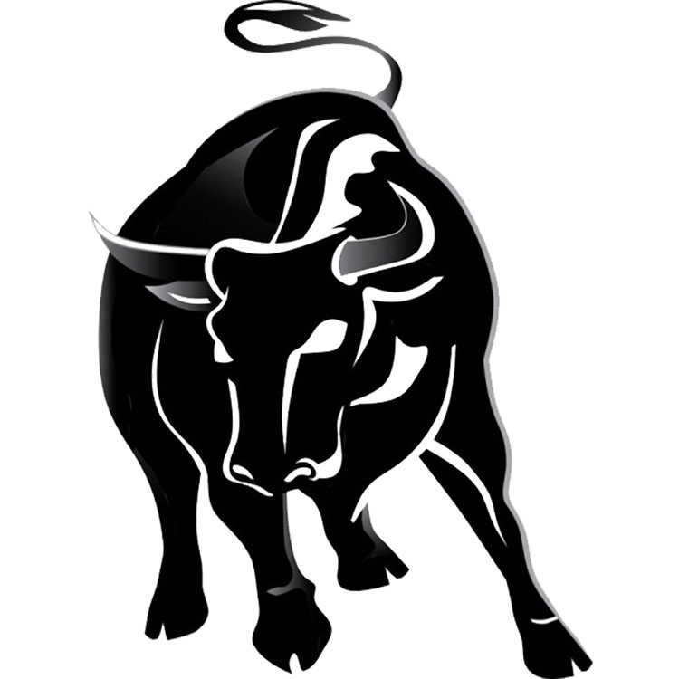 Toro-Defense-Contracting-Bull-Solo-Logo